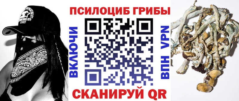 Галлюциногенные грибы GOLDEN TEACHER  Альметьевск 